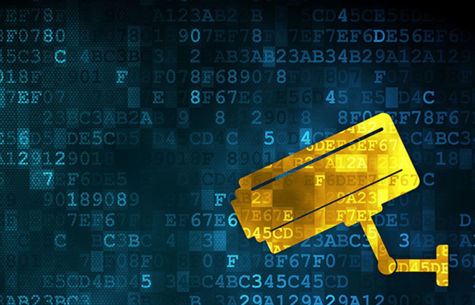 domain name monitoring