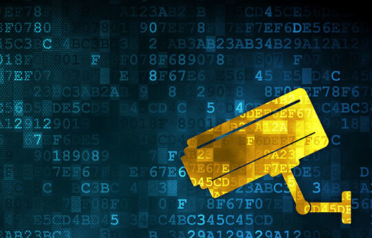 domain name monitoring
