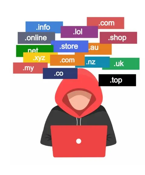 malicious domain names malicious domain names