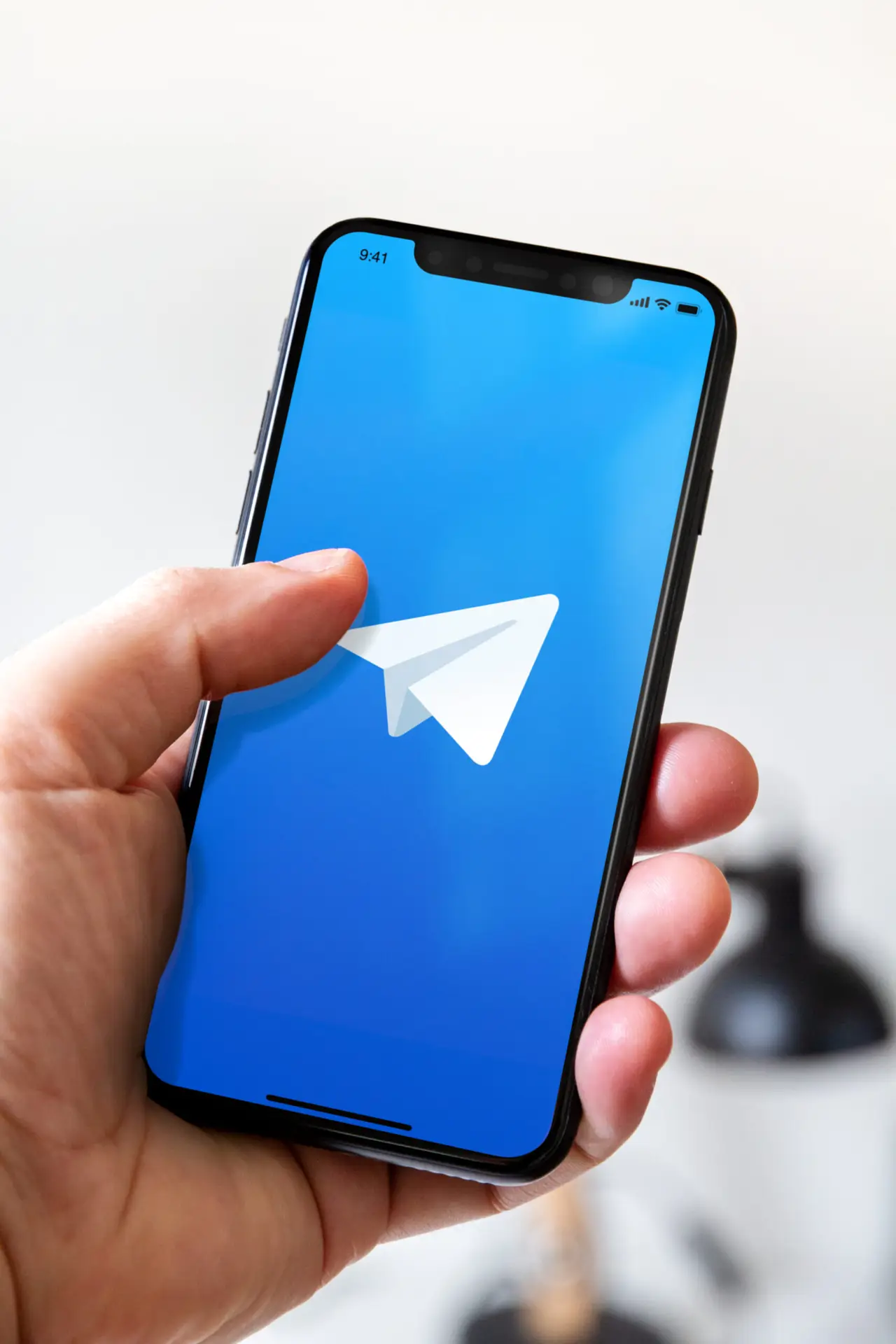 - Brandsec telegram fraud