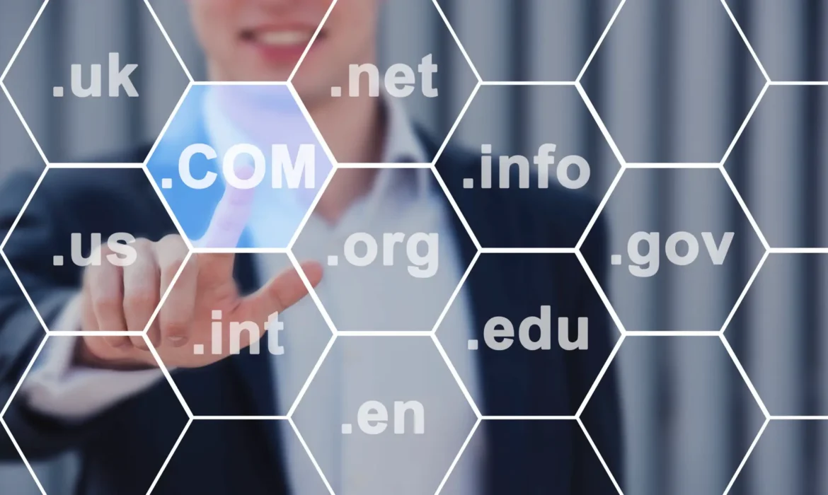 Domain Name Industry Insights