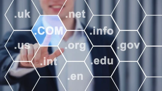 Domain Name Industry Insights
