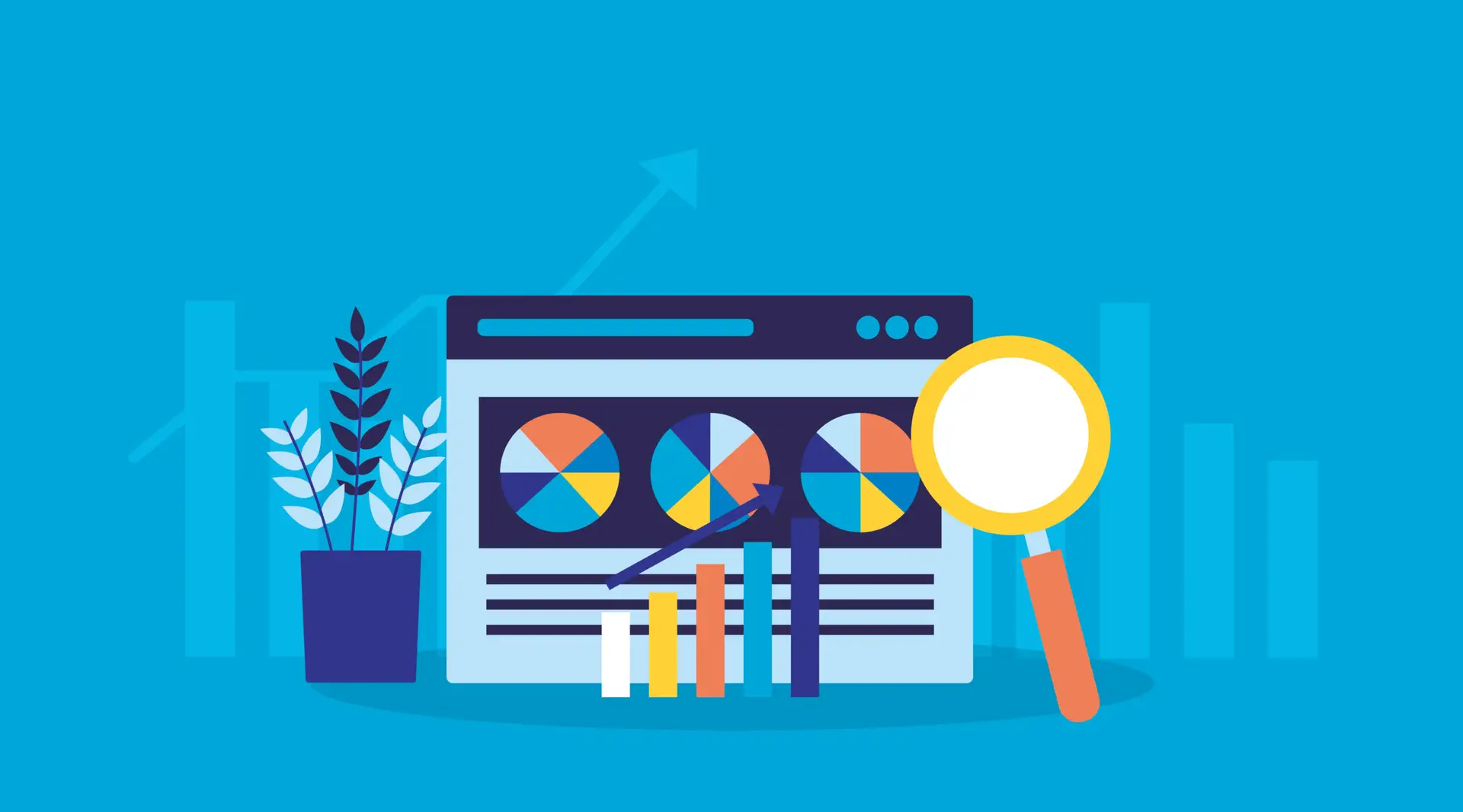 Domain industry trends
