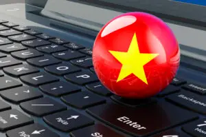 .VN domain names