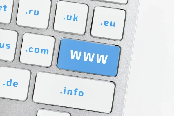 domain management provider domain management provider