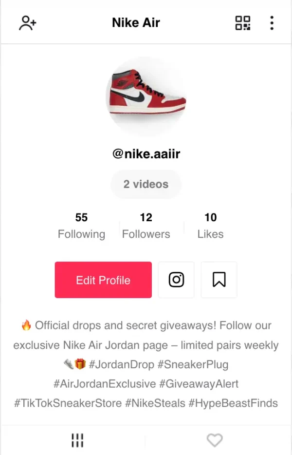 Fake TikTok